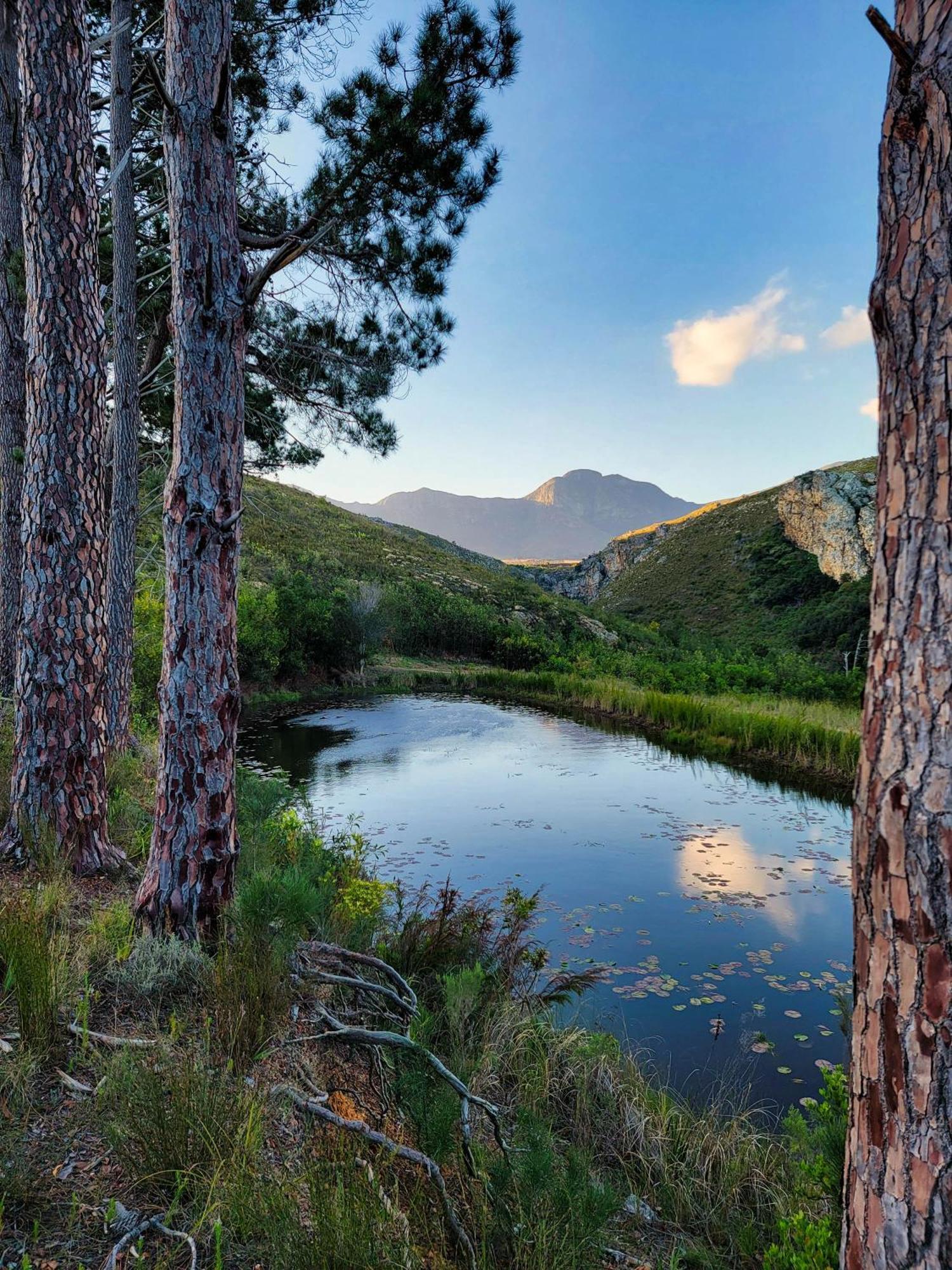 Vila The Volmoed Trust Hermanus Exteriér fotografie