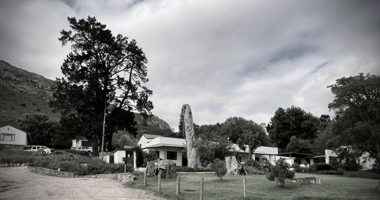 Vila The Volmoed Trust Hermanus Exteriér fotografie